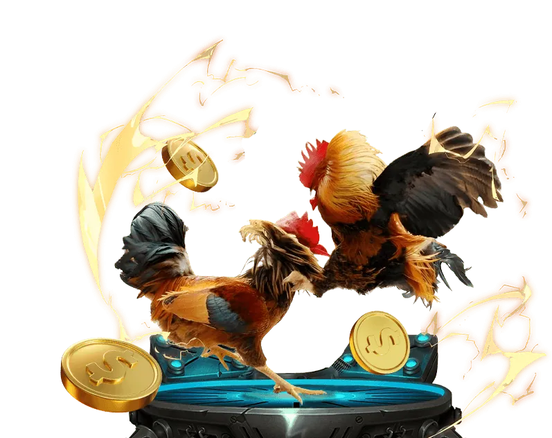 Tổng quan về thương hiệu okking99